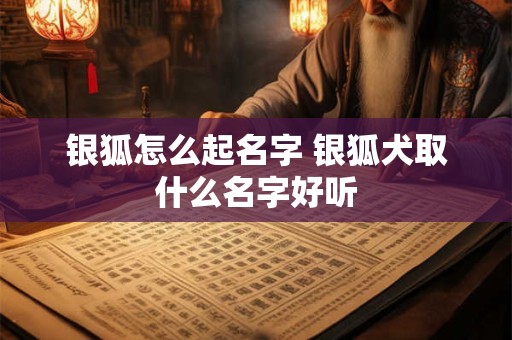 银狐怎么起名字 银狐犬取什么名字好听