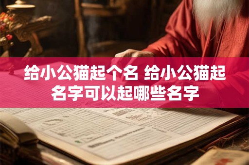 给小公猫起个名 给小公猫起名字可以起哪些名字