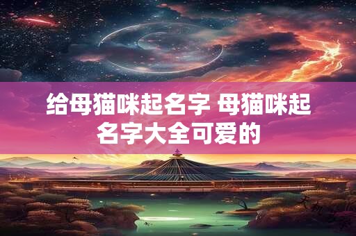 给母猫咪起名字 母猫咪起名字大全可爱的