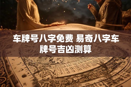 车牌号八字免费 易奇八字车牌号吉凶测算