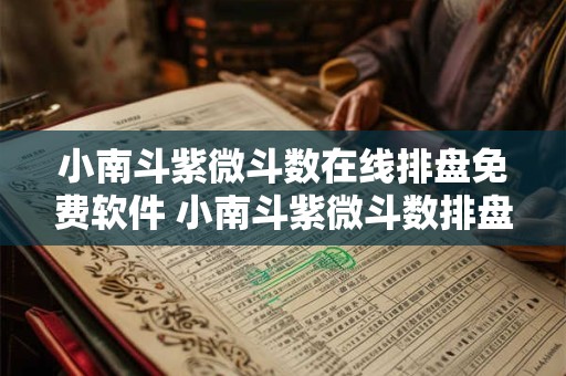 小南斗紫微斗数在线排盘免费软件 小南斗紫微斗数排盘软件