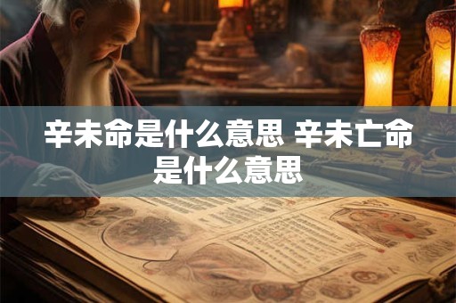 辛未命是什么意思 辛未亡命是什么意思