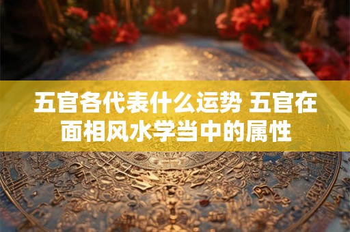 五官各代表什么运势 五官在面相风水学当中的属性