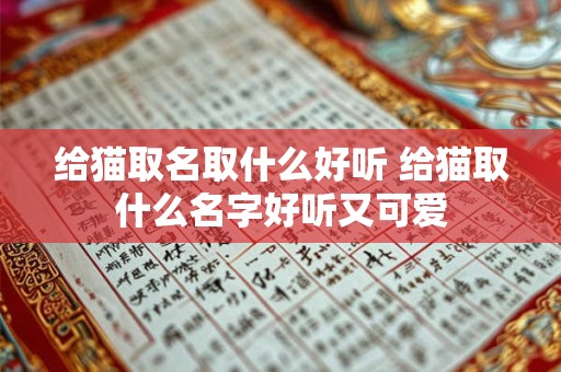 给猫取名取什么好听 给猫取什么名字好听又可爱