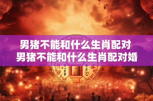 男猪不能和什么生肖配对 男猪不能和什么生肖配对婚姻