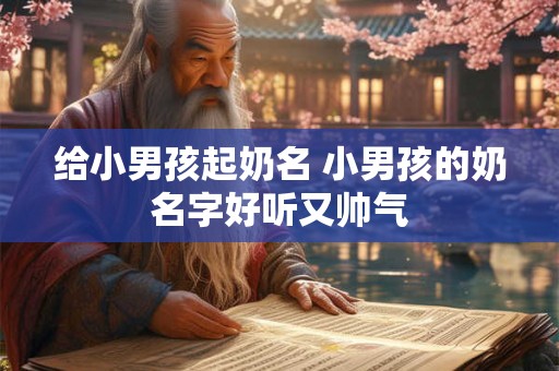 给小男孩起奶名 小男孩的奶名字好听又帅气