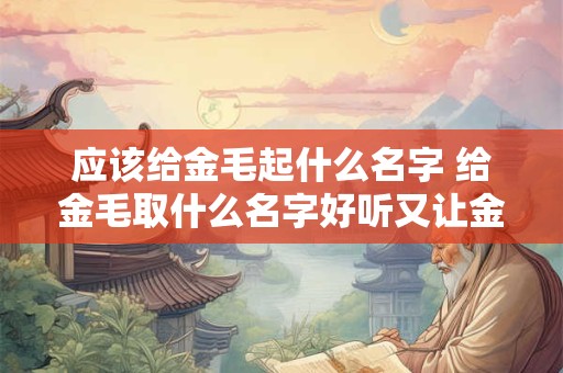应该给金毛起什么名字 给金毛取什么名字好听又让金毛喜欢