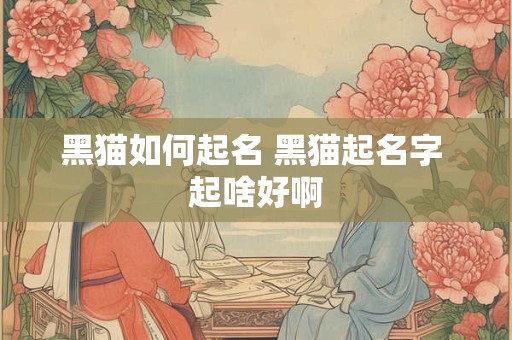 黑猫如何起名 黑猫起名字 起啥好啊