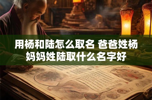 用杨和陆怎么取名 爸爸姓杨妈妈姓陆取什么名字好