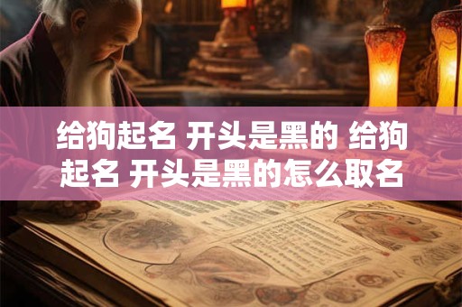 给狗起名 开头是黑的 给狗起名 开头是黑的怎么取名