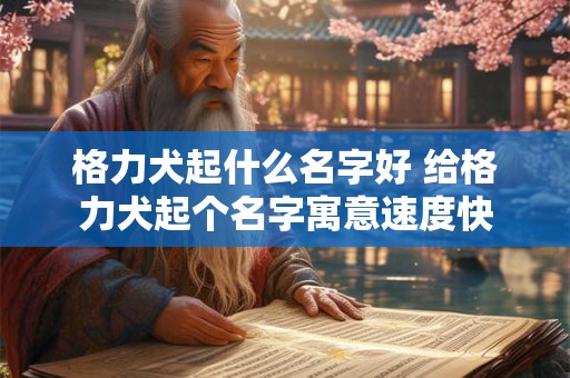 格力犬起什么名字好 给格力犬起个名字寓意速度快