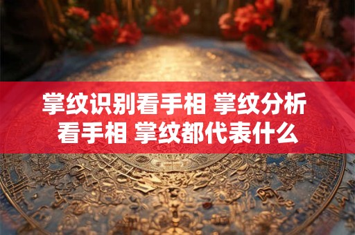 掌纹识别看手相 掌纹分析 看手相 掌纹都代表什么