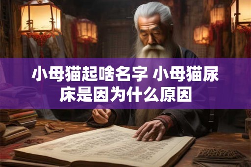 小母猫起啥名字 小母猫尿床是因为什么原因