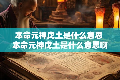 本命元神戊土是什么意思 本命元神戊土是什么意思啊
