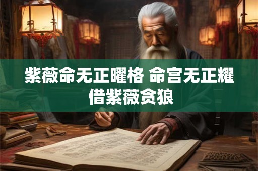 紫薇命无正曜格 命宫无正耀 借紫薇贪狼