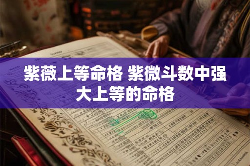 紫薇上等命格 紫微斗数中强大上等的命格