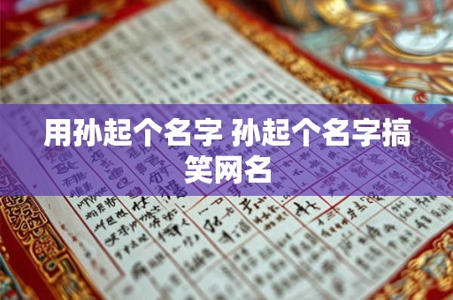 用孙起个名字 孙起个名字搞笑网名