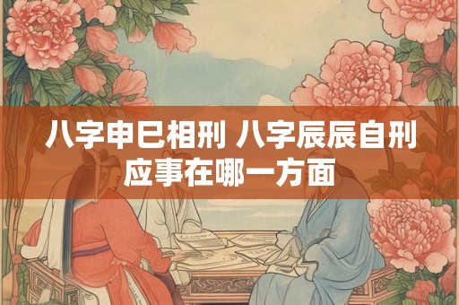 八字申巳相刑 八字辰辰自刑应事在哪一方面