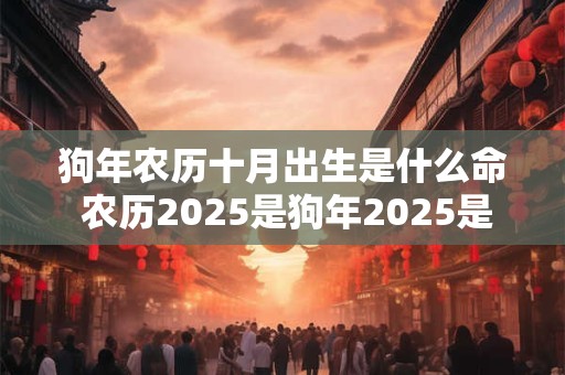 狗年农历十月出生是什么命 农历2025是狗年2025是什么年