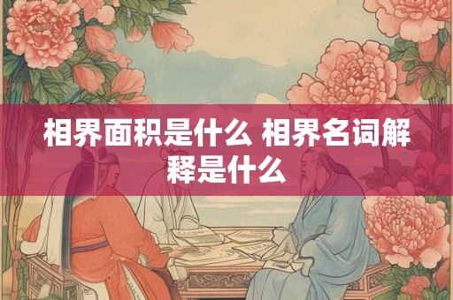相界面积是什么 相界名词解释是什么