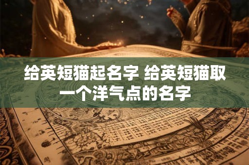 给英短猫起名字 给英短猫取一个洋气点的名字