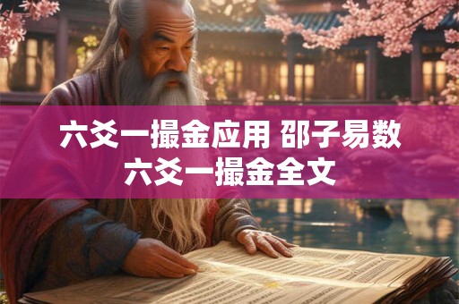 六爻一撮金应用 邵子易数六爻一撮金全文