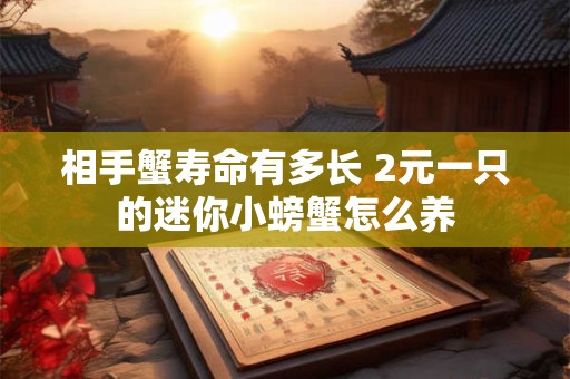 相手蟹寿命有多长 2元一只的迷你小螃蟹怎么养