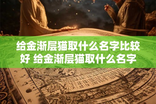 给金渐层猫取什么名字比较好 给金渐层猫取什么名字比较好听