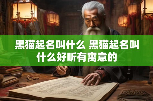 黑猫起名叫什么 黑猫起名叫什么好听有寓意的