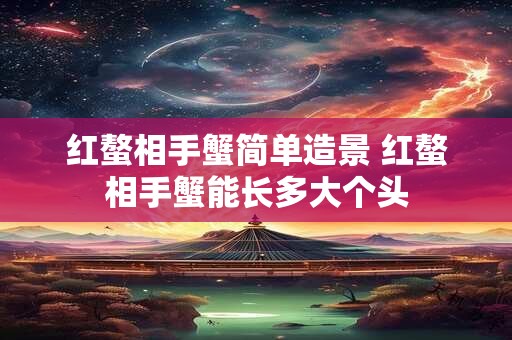 红螯相手蟹简单造景 红螯相手蟹能长多大个头