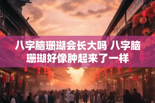 八字脑珊瑚会长大吗 八字脑珊瑚好像肿起来了一样