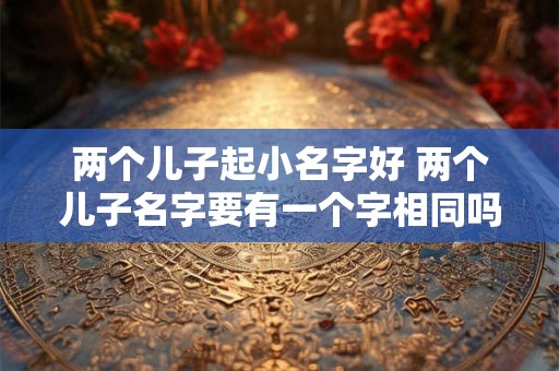 两个儿子起小名字好 两个儿子名字要有一个字相同吗