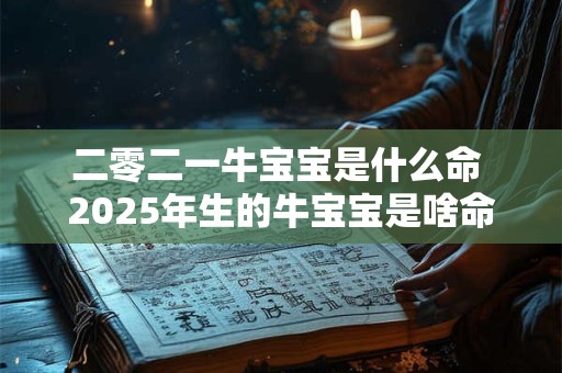 二零二一牛宝宝是什么命 2025年生的牛宝宝是啥命人