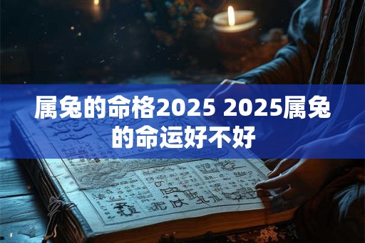 属兔的命格2025 2025属兔的命运好不好