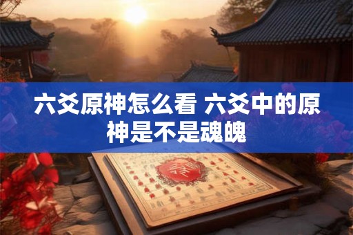 六爻原神怎么看 六爻中的原神是不是魂魄