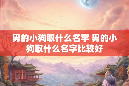 男的小狗取什么名字 男的小狗取什么名字比较好