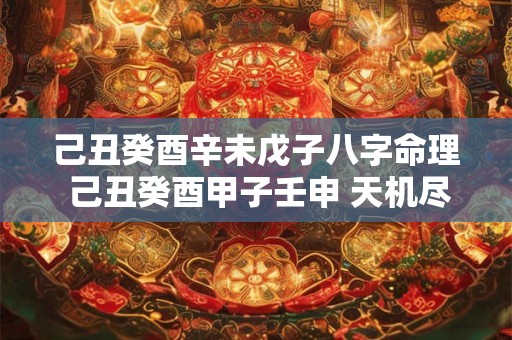 己丑癸酉辛未戊子八字命理 己丑癸酉甲子壬申 天机尽在此八字中!