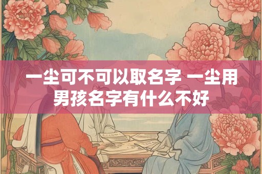 一尘可不可以取名字 一尘用男孩名字有什么不好