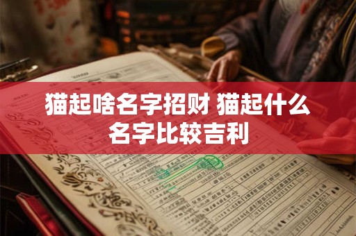 猫起啥名字招财 猫起什么名字比较吉利