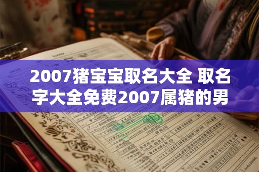 2007猪宝宝取名大全 取名字大全免费2007属猪的男孩子 2007猪宝宝取名大全 取名字大全免费2007属猪的男孩子
