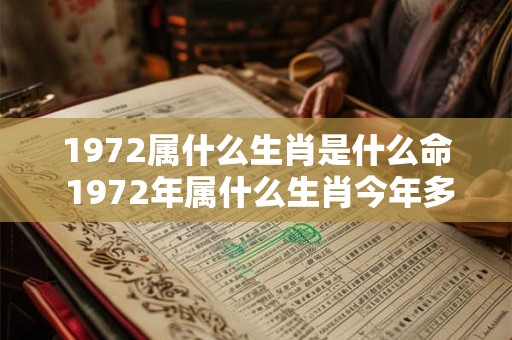 1972属什么生肖是什么命 1972年属什么生肖今年多大了