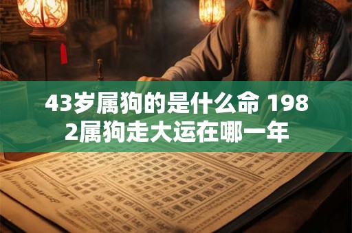 43岁属狗的是什么命 1982属狗走大运在哪一年