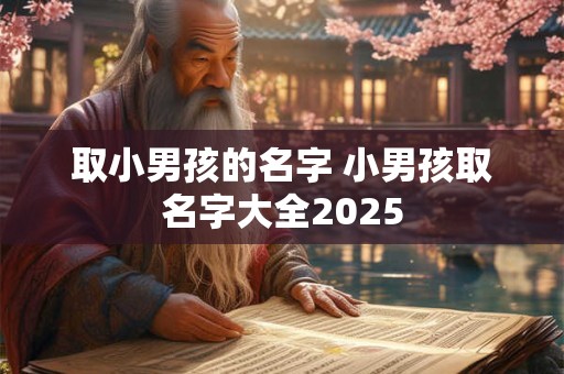 取小男孩的名字 小男孩取名字大全2025