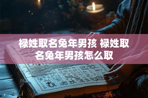 禄姓取名兔年男孩 禄姓取名兔年男孩怎么取