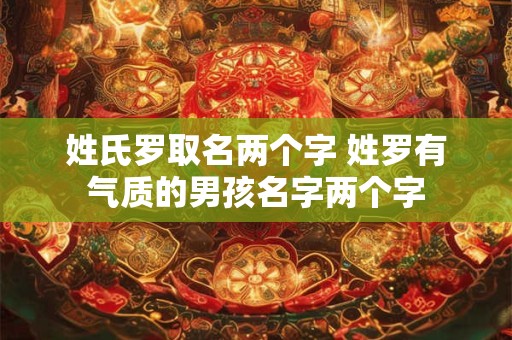 姓氏罗取名两个字 姓罗有气质的男孩名字两个字