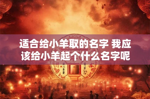 适合给小羊取的名字 我应该给小羊起个什么名字呢