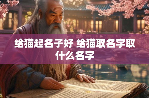 给猫起名子好 给猫取名字取什么名字