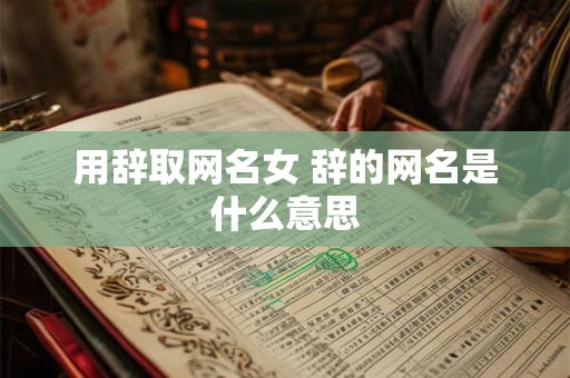 用辞取网名女 辞的网名是什么意思