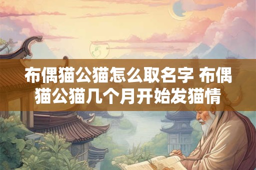 布偶猫公猫怎么取名字 布偶猫公猫几个月开始发猫情