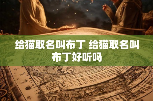 给猫取名叫布丁 给猫取名叫布丁好听吗